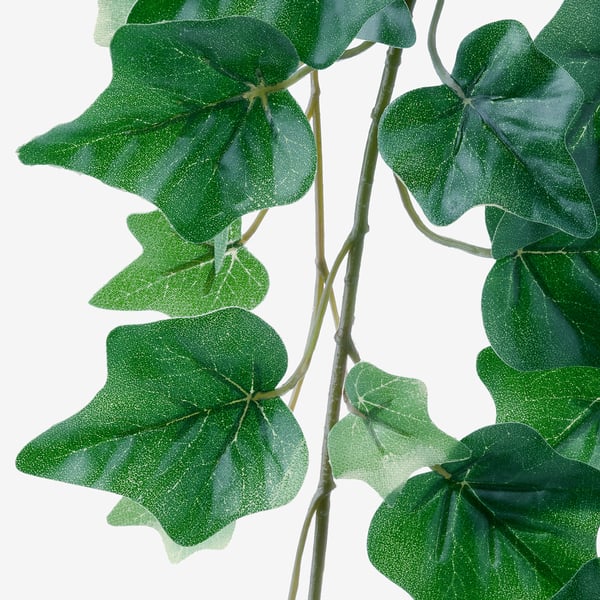 FEJKA artificial potted plant, in/outdoor/hanging Ivy, 12 cm
