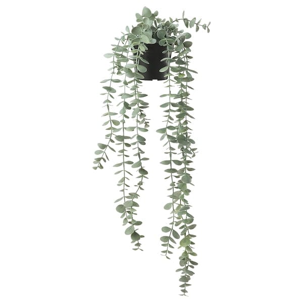 Ikea FEJKA - Artificial potted plant, in/outdoor hanging/eucalyptus, 9 cm