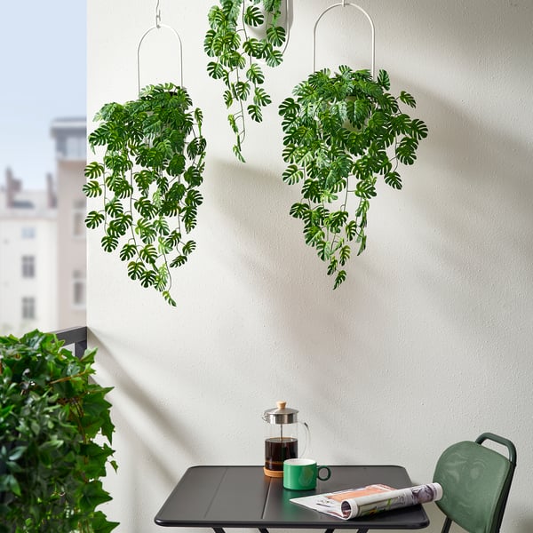 FEJKA artificial potted plant, in/outdoor hanging/Monstera, 9 cm