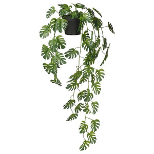 FEJKA artificial potted plant, in/outdoor hanging/Monstera, 9 cm