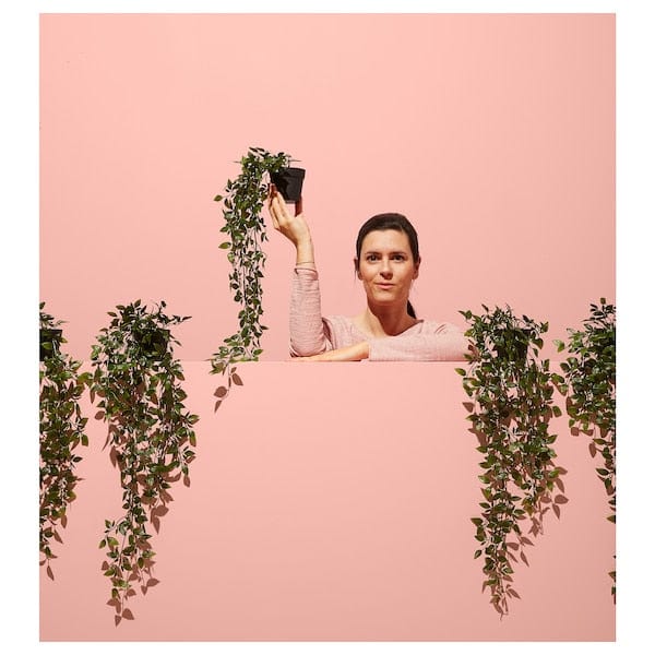 Ikea FEJKA - Artificial potted plant, in/outdoor/hanging, 9 cm