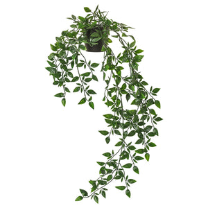 FEJKA artificial potted plant, in/outdoor/hanging, 9 cm