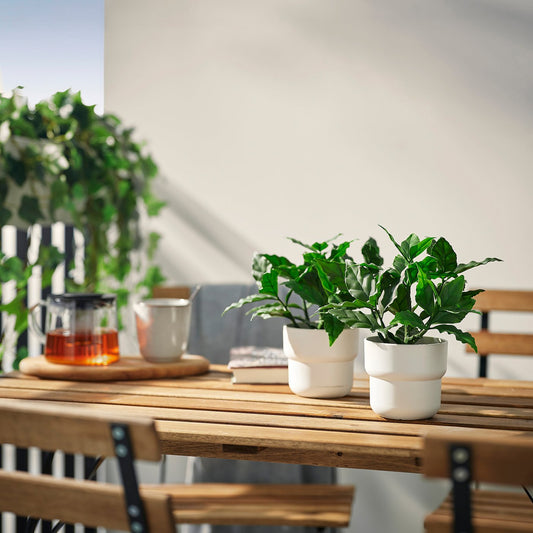 FEJKA artificial potted plant, in/outdoor/sweet bay, 9 cm
