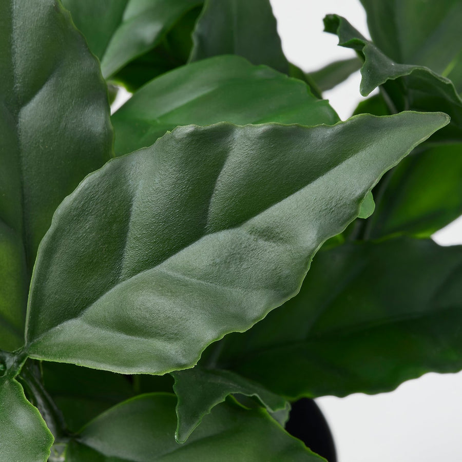 FEJKA artificial potted plant, in/outdoor/sweet bay, 9 cm