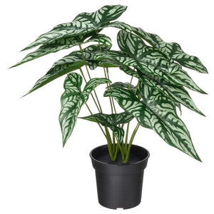 FEJKA artificial potted plant, in/outdoor Wondrous cerces, 15 cm