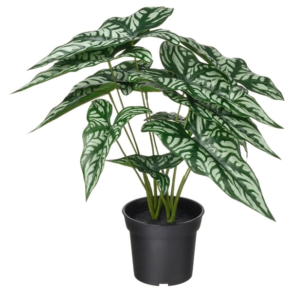 FEJKA artificial potted plant, in/outdoor Wondrous cerces, 15 cm