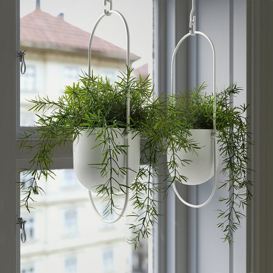 FEJKA artificial potted plant, in/outdoor Asparagus/hanging, 12 cm