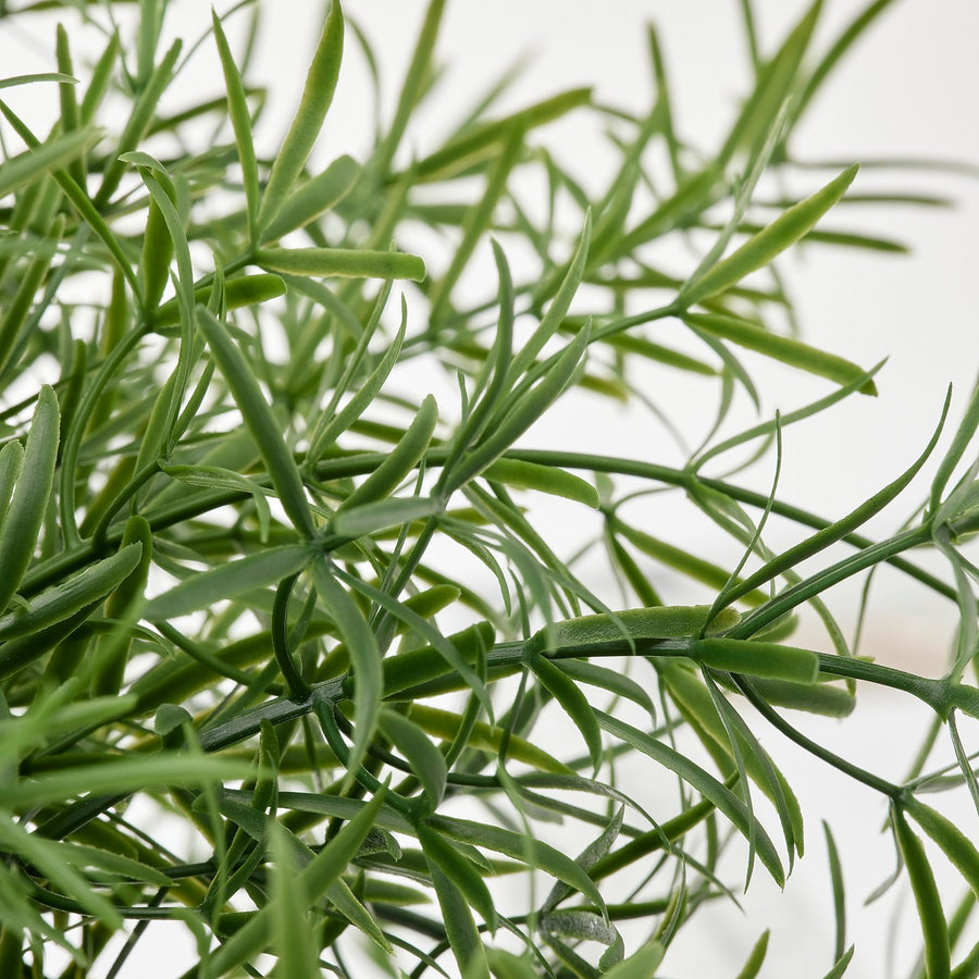 FEJKA artificial potted plant, in/outdoor Asparagus/hanging, 12 cm