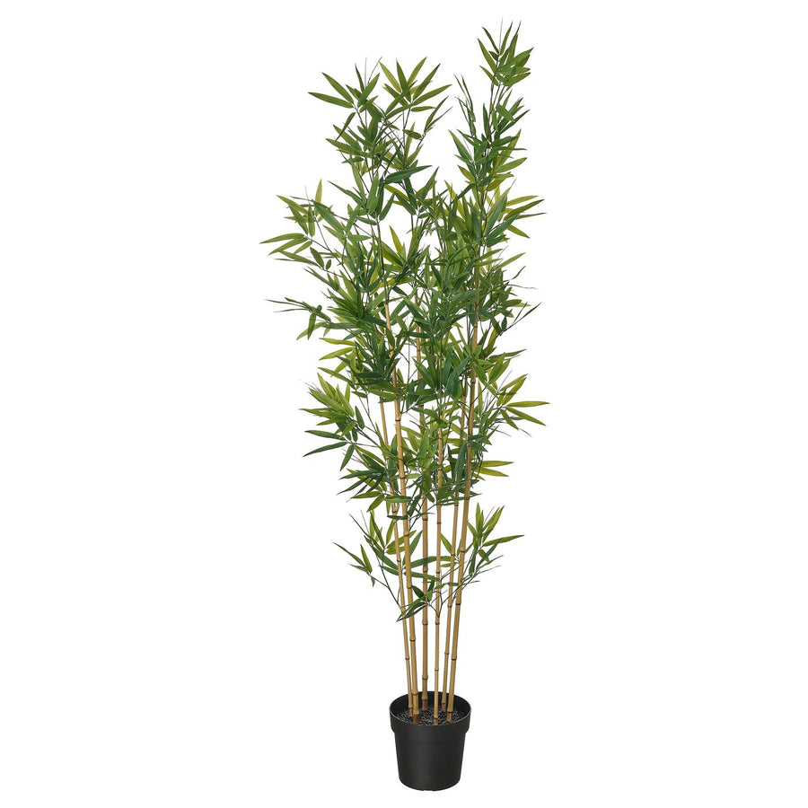 FEJKA artificial potted plant, in/outdoor/bamboo, 21 cm