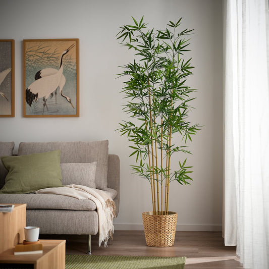 FEJKA artificial potted plant, in/outdoor/bamboo, 21 cm