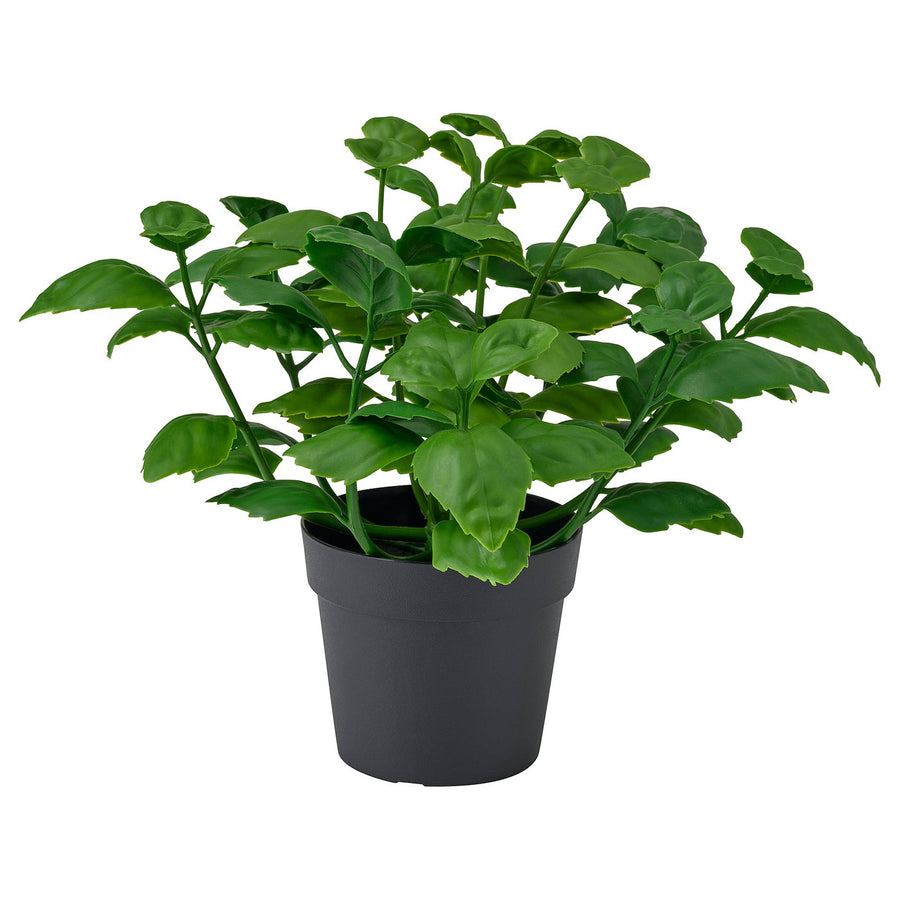 FEJKA artificial potted plant, in/outdoor/basil, 9 cm