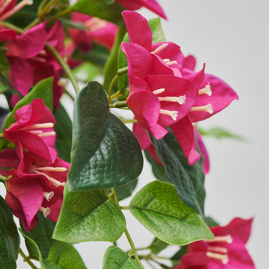 FEJKA artificial potted plant, in/outdoor/Bouganvilla pink, 12 cm