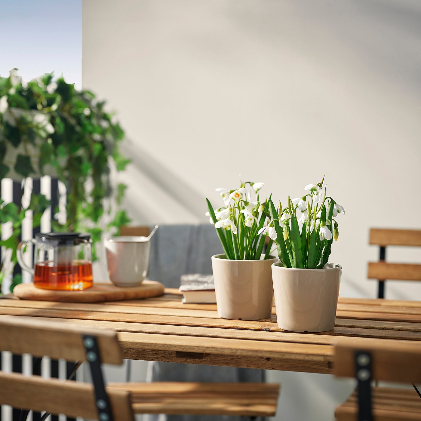 FEJKA artificial potted plant, in/outdoor/snowdrop white, 9 cm