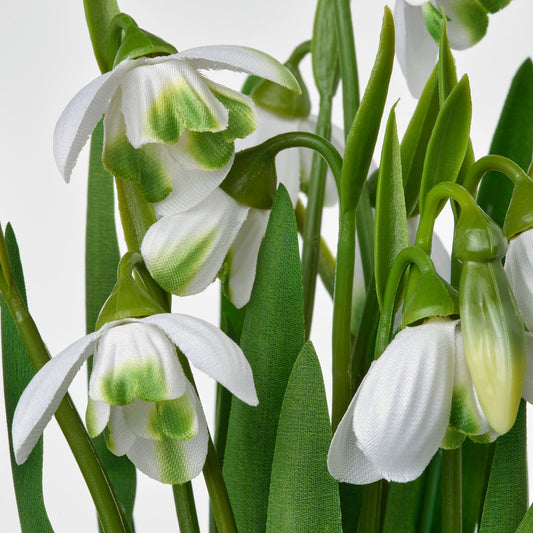 FEJKA artificial potted plant, in/outdoor/snowdrop white, 9 cm