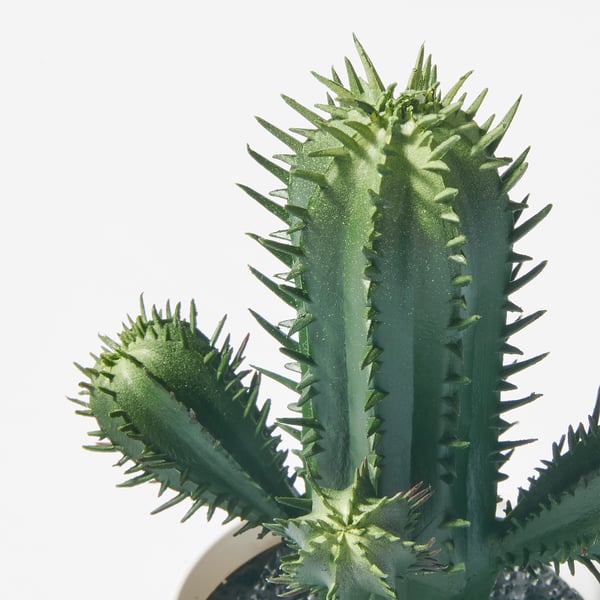 FEJKA artificial potted plant, in/outdoor Cactus, 6 cm