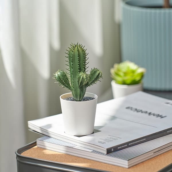 Ikea FEJKA - Artificial potted plant, in/outdoor Cactus, 6 cm