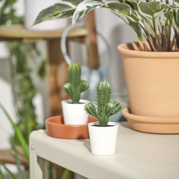Ikea FEJKA - Artificial potted plant, in/outdoor Cactus, 6 cm