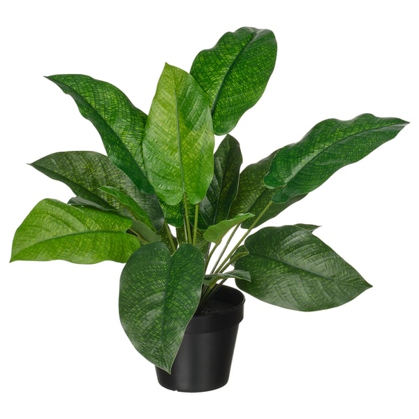 FEJKA artificial potted plant, in/outdoor calathea, 12 cm
