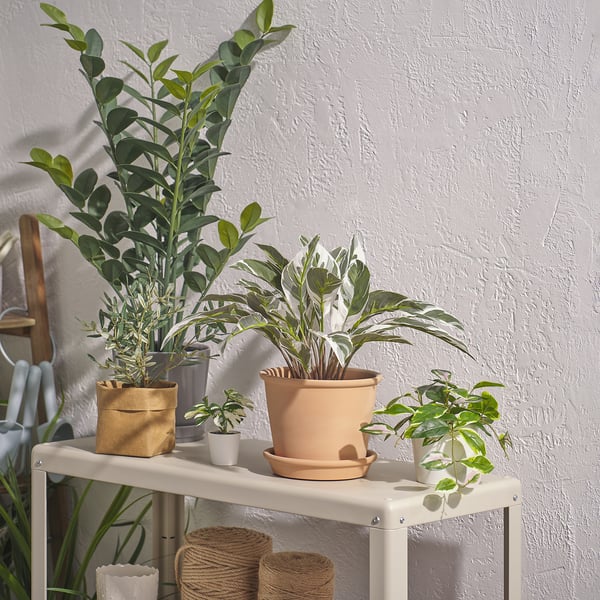 FEJKA artificial potted plant, in/outdoor calathea, 15 cm