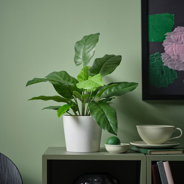 FEJKA artificial potted plant, in/outdoor calathea, 12 cm