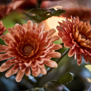 FEJKA artificial potted plant, in/outdoor/Chrysanthemums orange, 9 cm