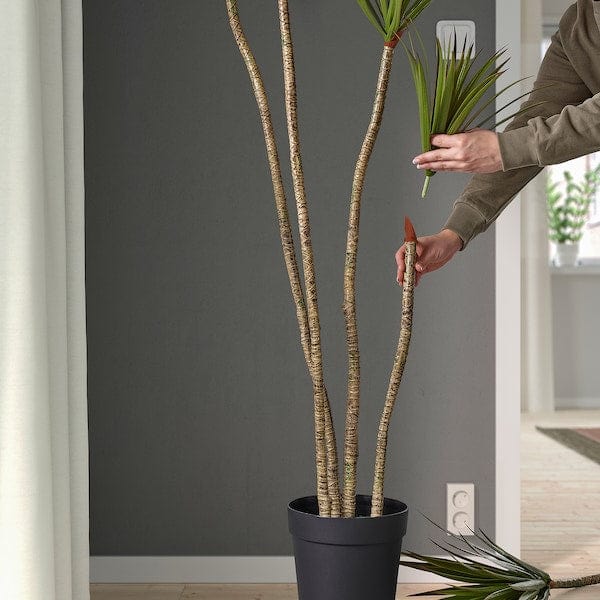 Ikea FEJKA - Artificial potted plant, in/outdoor Dracena, 23 cm