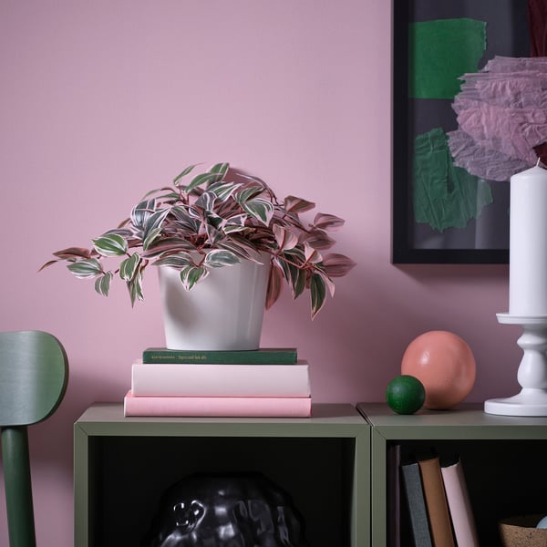 FEJKA artificial potted plant, in/outdoor Spiderwort/lilac, 12 cm