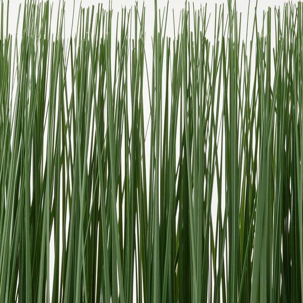 FEJKA artificial potted plant with pot, in/outdoor grass, 28x7 cm