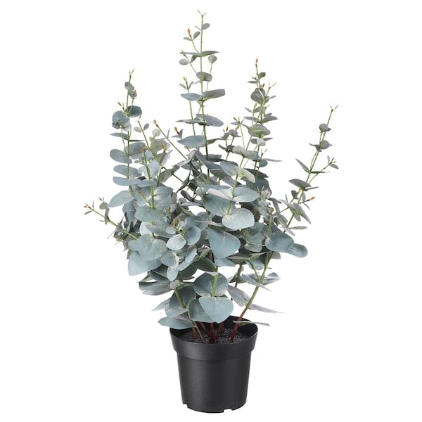 Ikea FEJKA - Artificial potted plant, in/outdoor eucalyptus, 15 cm