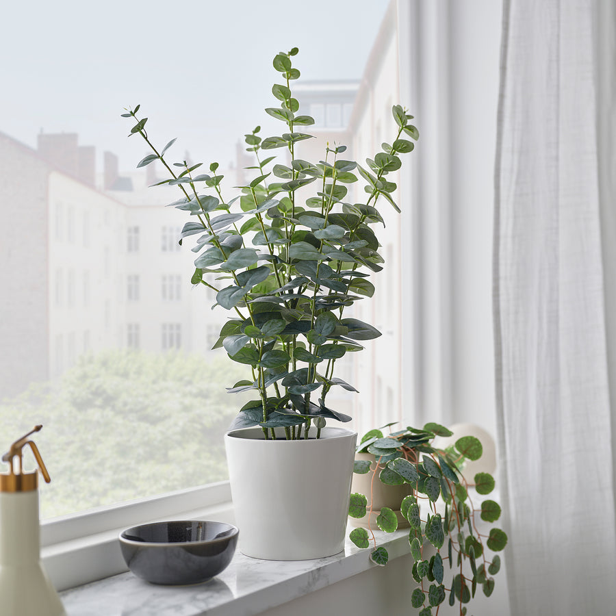 FEJKA artificial potted plant, in/outdoor eucalyptus, 15 cm