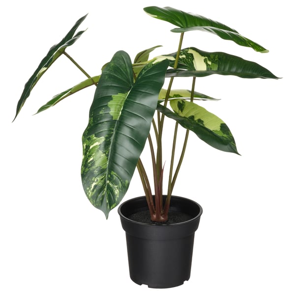 FEJKA artificial potted plant, in/outdoor Philodendron/green/white, 15 cm