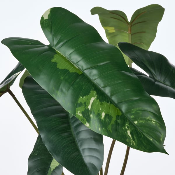 FEJKA artificial potted plant, in/outdoor Philodendron/green/white, 15 cm