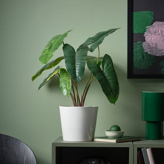 FEJKA artificial potted plant, in/outdoor Philodendron/green/white, 15 cm