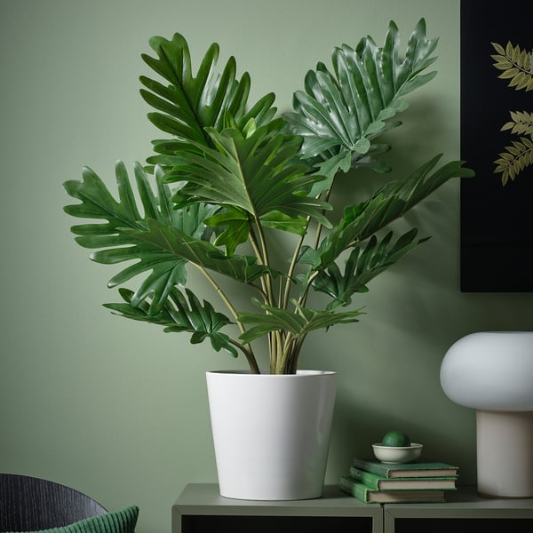 FEJKA artificial potted plant, in/outdoor Winterbourn, 19 cm