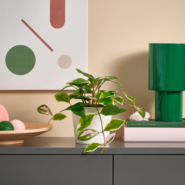 FEJKA artificial potted plant, in/outdoor/Wax plant hanging, 9 cm