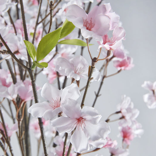 FEJKA artificial potted plant, in/outdoor cherry-blossoms, 19 cm