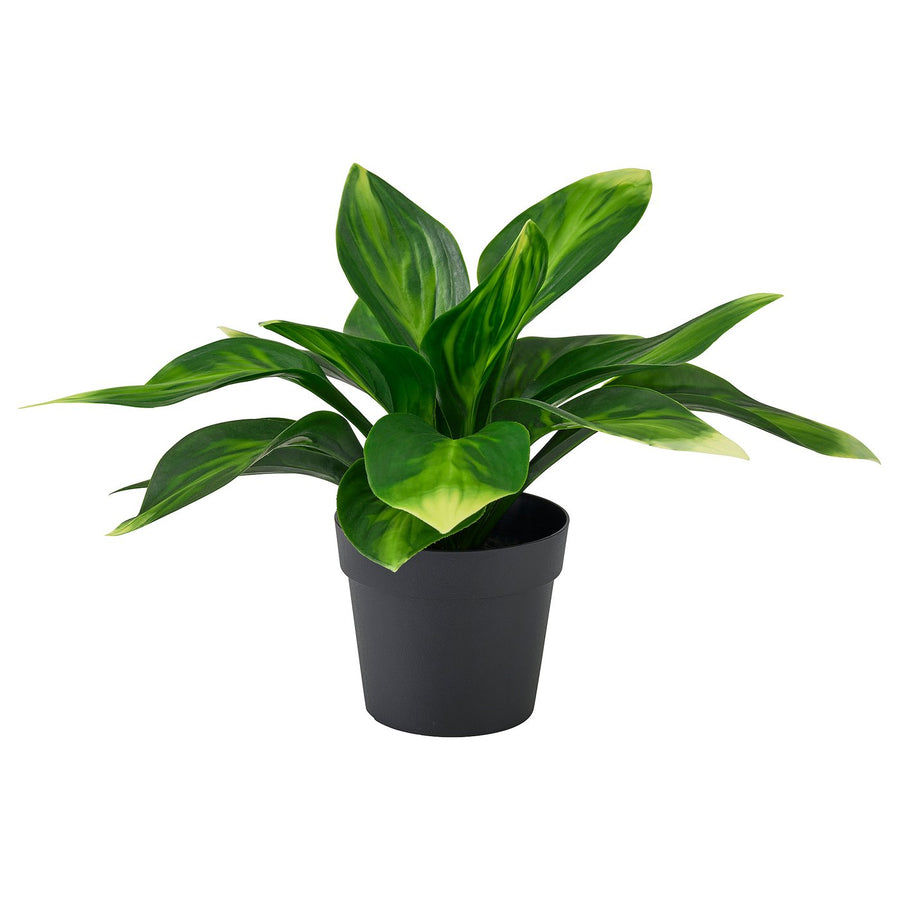 FEJKA artificial potted plant, in/outdoor/plantain lily, 9 cm