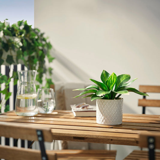 FEJKA artificial potted plant, in/outdoor/plantain lily, 9 cm