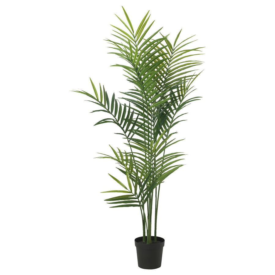 FEJKA artificial potted plant, in/outdoor/Kentia palm, 21 cm