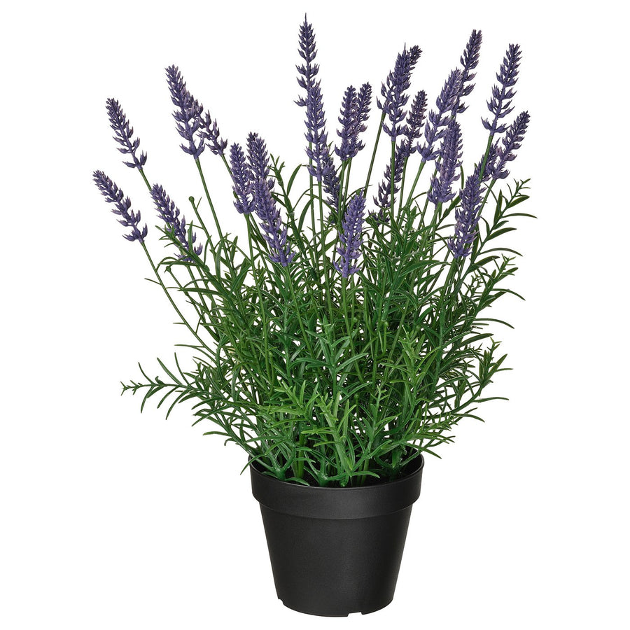 FEJKA artificial potted plant, in/outdoor/Lavender lilac, 12 cm