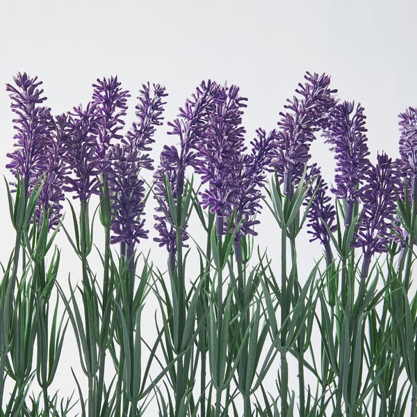 FEJKA artificial potted plant with pot, in/outdoor Lavender, 35x42 cm
