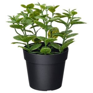 FEJKA artificial potted plant, in/outdoor Mint, 9 cm