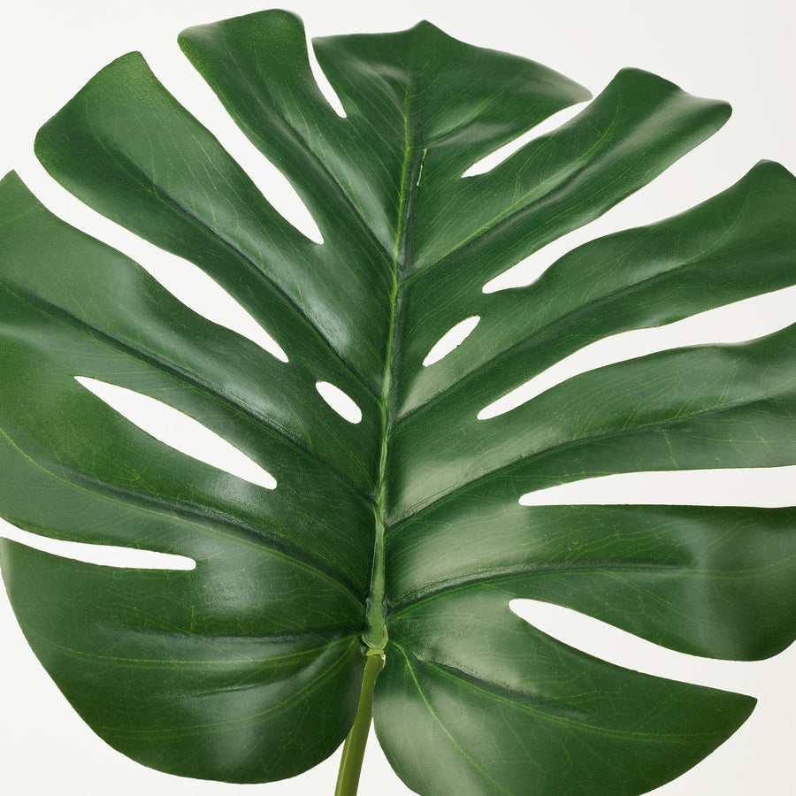 FEJKA artificial potted plant, in/outdoor Monstera, 19 cm