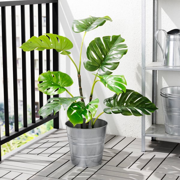FEJKA artificial potted plant, in/outdoor Monstera, 19 cm