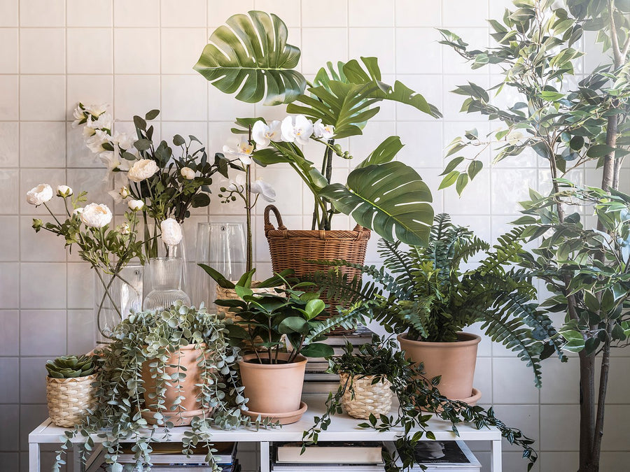 FEJKA artificial potted plant, in/outdoor Monstera, 19 cm