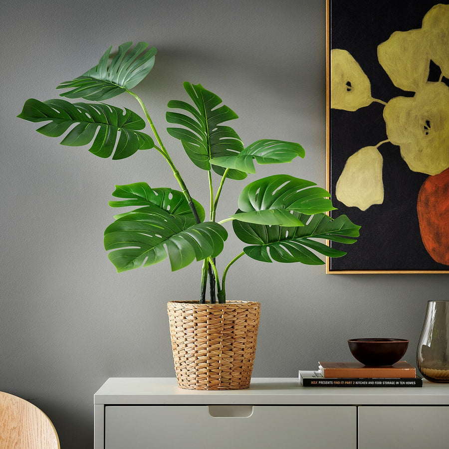 FEJKA artificial potted plant, in/outdoor Monstera, 19 cm