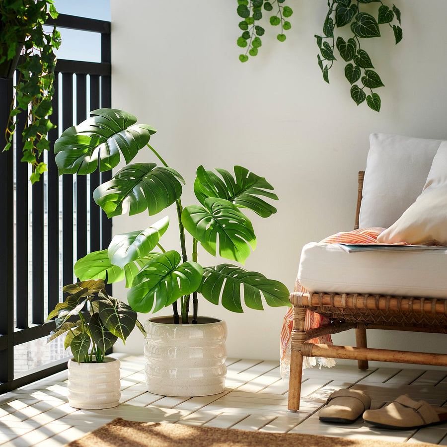 FEJKA artificial potted plant, in/outdoor Monstera, 19 cm