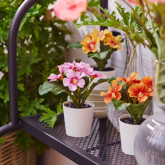 FEJKA artificial potted plant, in/outdoor/primrose mixed colours, 6 cm
