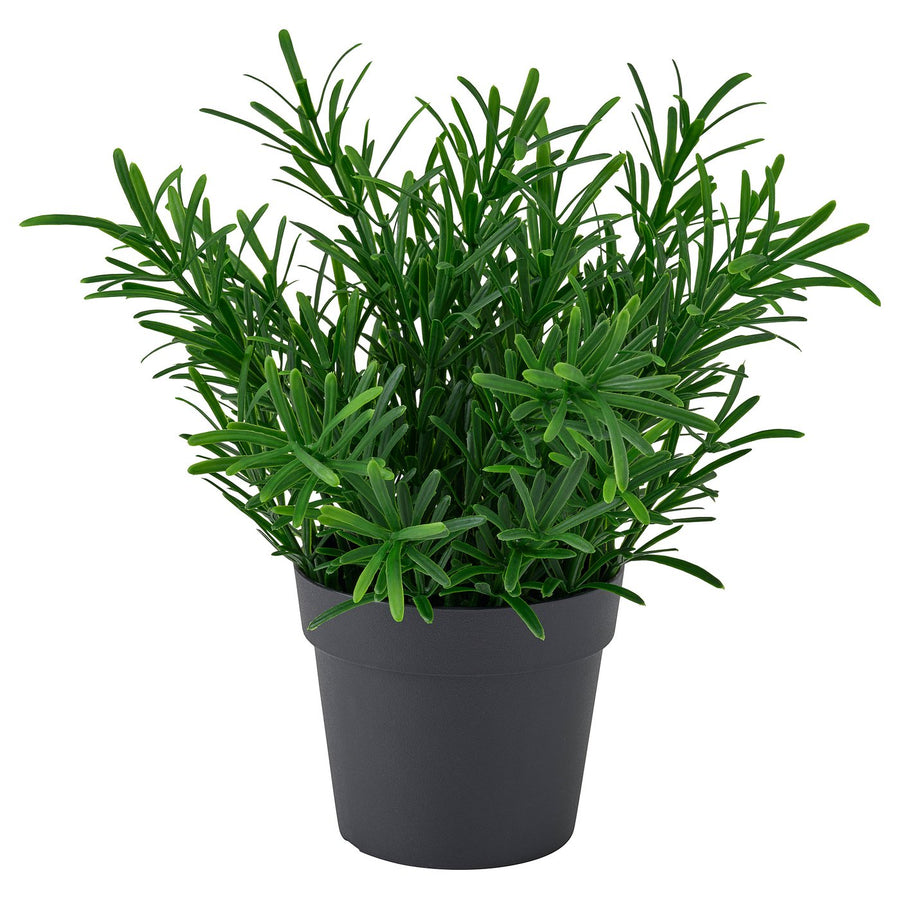 FEJKA artificial potted plant, in/outdoor/Rosemary, 9 cm