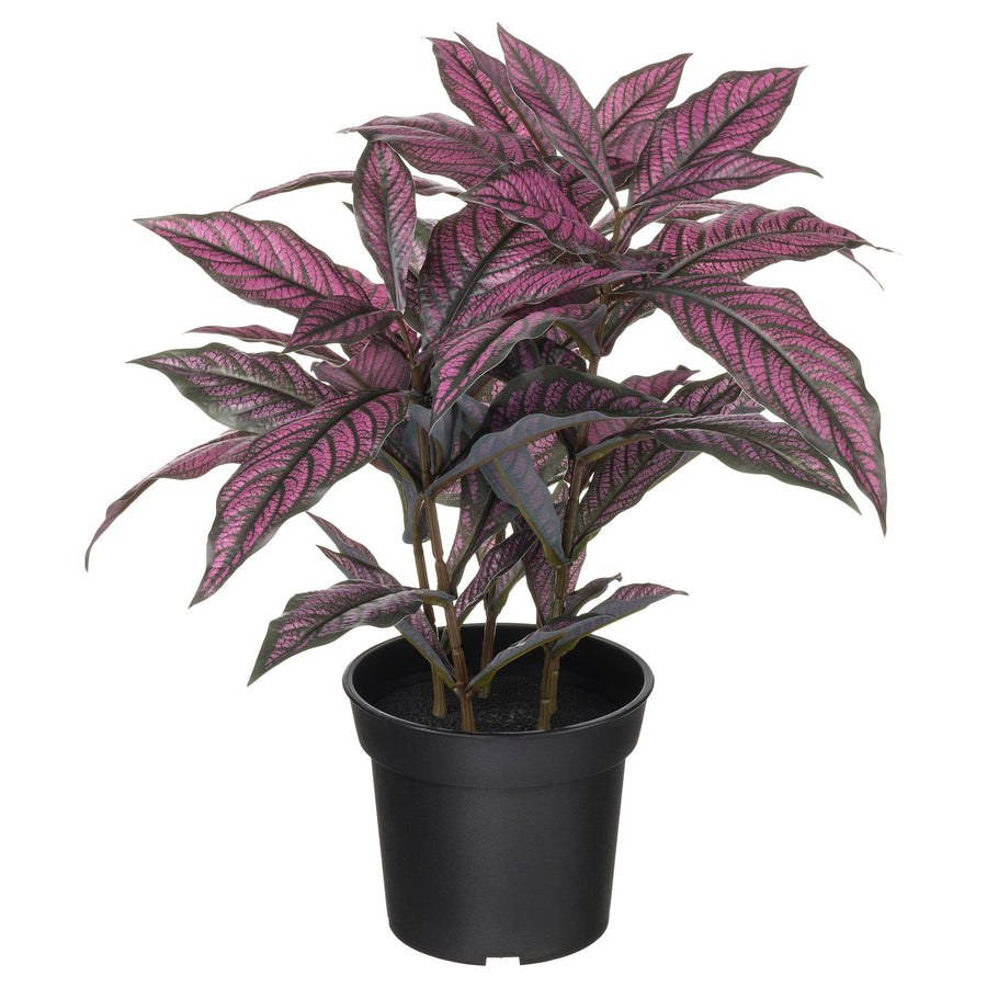 FEJKA artificial potted plant, in/outdoor Persian shield, 15 cm